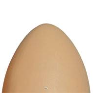 Œuf brun artificiel en lot de 12 en Plastique soufflé H 170x100 mm