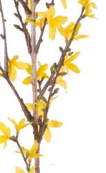 Branche de Forsythia artificiel Jaune H 88 cm 41 fleurs superbe