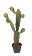 Cactus artificiel en pot H 45 cm vert superbe cactée