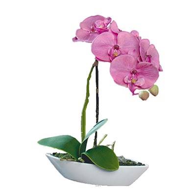 Orchidée factice tissu gaufré pot Résine Blanc ovale H 28 cm Rose-crème