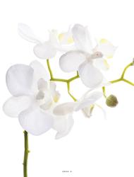 Orchidee Phalaenopsis Artificiel Blanc H 30 cm mini fleurons