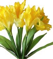 Bouquet d'Iris artificiels 7 fleurs et 7 feuilles hauteur 28 cm superbe Jaune