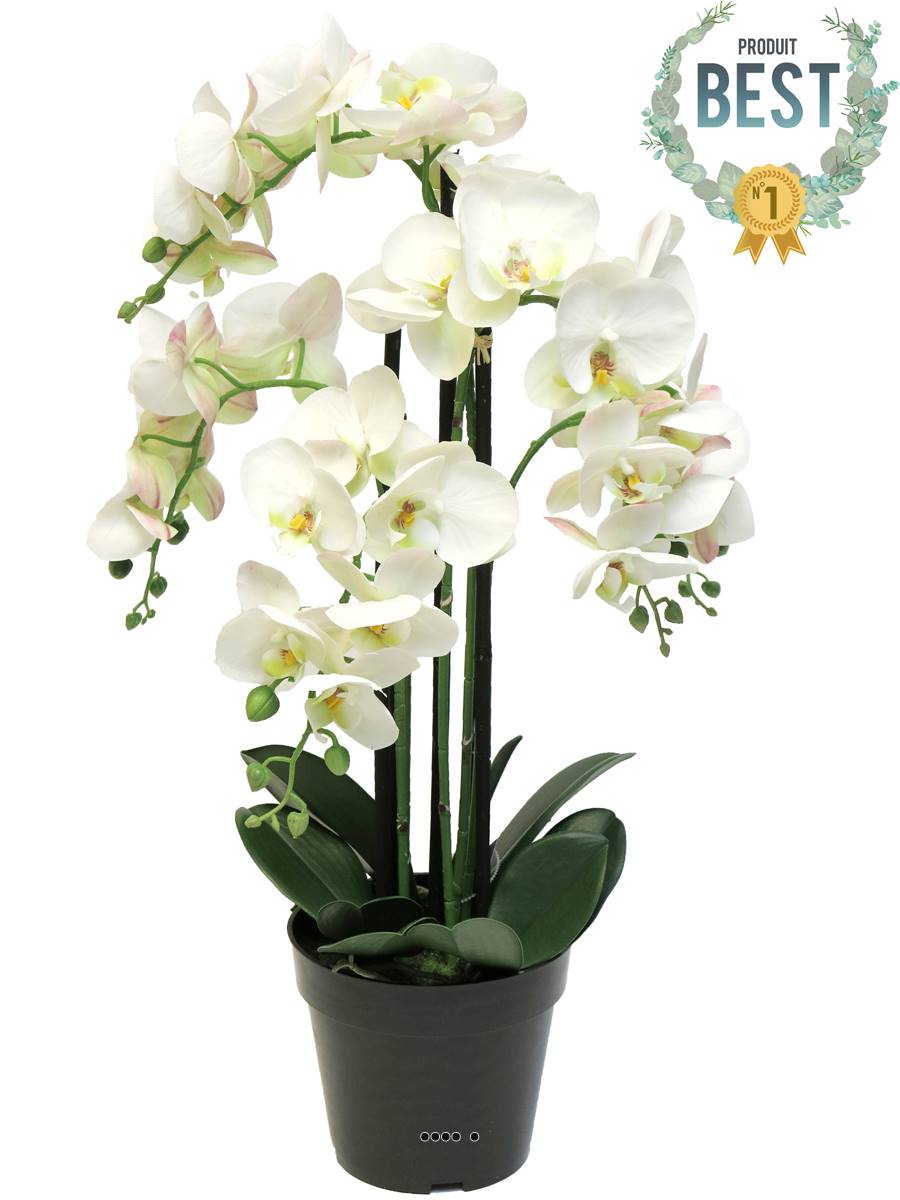 Plante d'orchidée artificielle