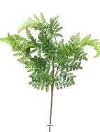 Branche de fougère Adiantum artificielle, H 57 cm - BEST