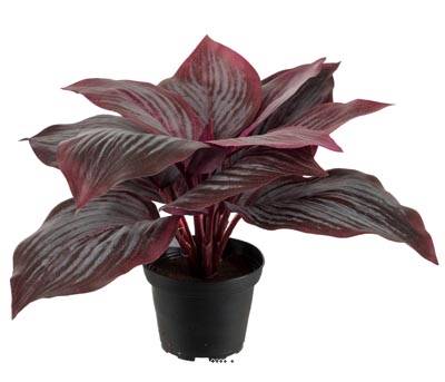 Hosta artificiel en pot H 20 cm D 30 cm Large feuille factices Rouge