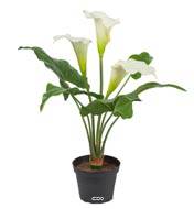 Arum calla artificiel en pot, 3 têtes de fleurs, H 40 cm Crème