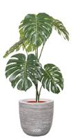 Monstera deliciosa artificielle, sur pied, en pot H 120 cm, D 65 cm