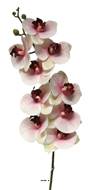 Tige orchidée phalaenopsis Factice 9fleurons H108cm Pourpre-blanc-BEST