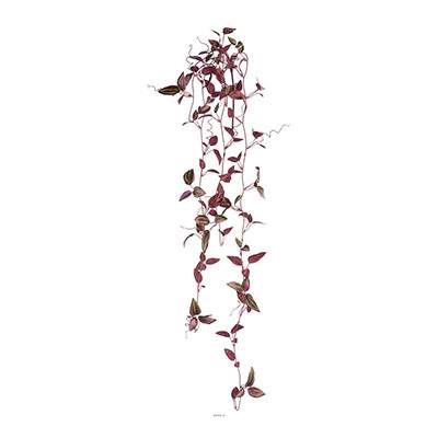 Jolie chute de tradescantia artificiel L 102 cm violine