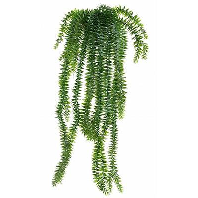 Lycopodium artificiel retombant en pot L 70 cm pour extérieur