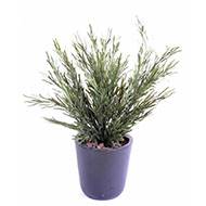 Podocarpus artificiel en piquet pour l'extérieur H 45 cm