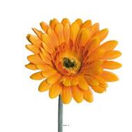 Gerbera artificiel, H 56 cm - D 11 cm superbe Orange
