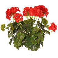 Geranium artificiel en piquet H 38 cm 6 tetes plastique anti UV exterieur Rouge
