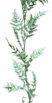 Guirlande de Fougère Plastique Verte artificielle Lg 205 cm D 23 cm 30 feuilles