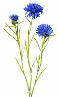 Bleuet artificiel en tige H 68 cm 3 têtes