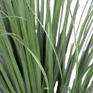 Palmier Beaucarnea artificiel en pot H 74 cm D 45 cm Très élégant