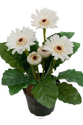 Gerbera artificiel crème en pot H 30 cm 6 fleurs adorable