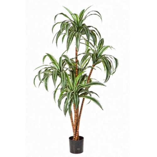 Dracaena artificiel H 120 cm 110 feuilles 5 troncs en pot