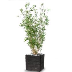 Bambou Oriental Artificiel cannes fines en pot H 160 cm D 80 cm Vert