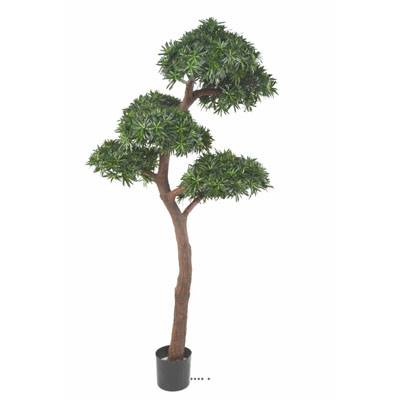 Podocarpus artificiel en pot extérieur H 210 cm L 100 cm