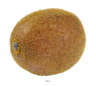 Kiwi fruit artificiel Hauteur 7 cm et D 5 cm avec lesté