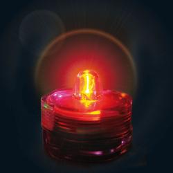 Led Rouge submersible, télécommande & réutilisable, 2 piles incluses
