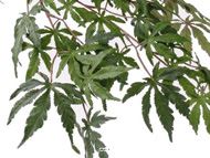 Branche Acer Erable artificielle 70 cm 36 feuilles Vert FEU RETARDANT
