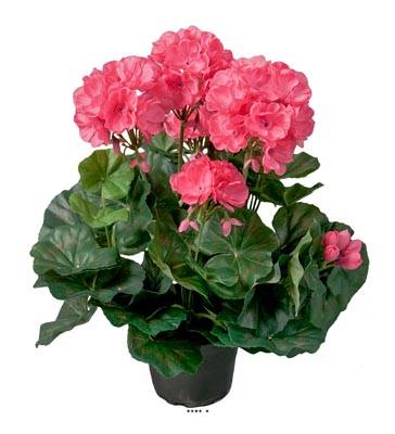 Géranium factice Rose fushia 6têtes en pot lesté H35cm belles feuilles