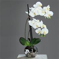 Orchidée factice 2 hampes en boule céramique Argent H50cm Blanc-neige