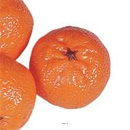 Mandarine artificielle en lot de 3 en Plastique soufflé D 65x50 mm