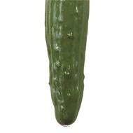 Concombre vert artificiel en lot de 3 en Plastique soufflé L 180x50 mm