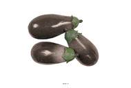 Aubergines artificielles en lot de 3 en Plastique soufflé L 135x60 mm