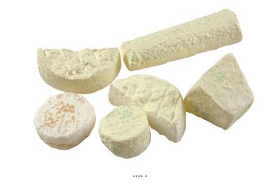 Assortiment de Fromages Français X 6 en Plastique soufflé L 55-150 mm