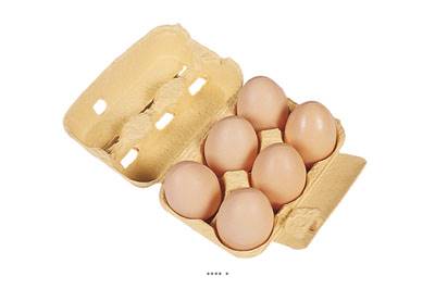 Œufs de poule artificiel en Plastique soufflé L 150x110 mm