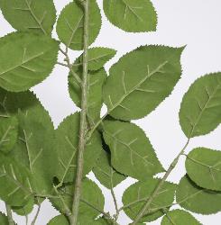 Branche de Hetre artificiel vert H 65 cm 43 feuilles feu retardant