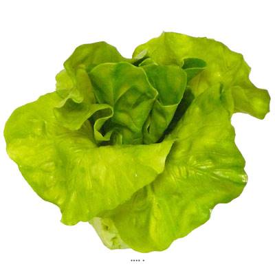 Salade coeur de laitue legume artificiel H 14 cm et D14 cm Latex