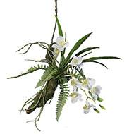 Orchidée Dendrobium factice Latex sur branche à suspendre L50cm Crème