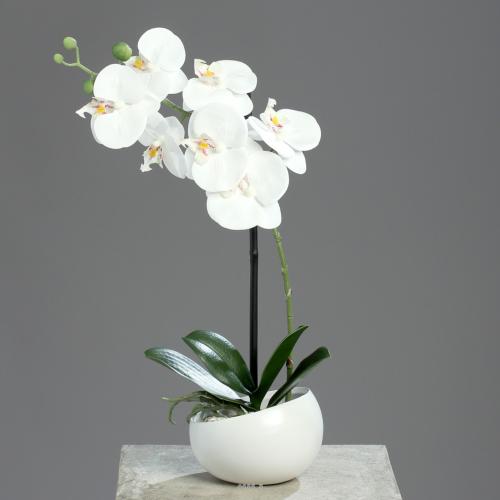 Orchidée factice 1 hampe coupe céramique H40cm touché réel Blanc neige