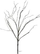 Branche de bois artificielle, 5 ramures, H 110 cm - BEST