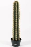 Cactus Cierge artificiel cactée succulente en pot H 98 cm Qualité Pro