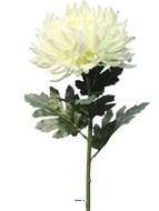 Chrysanthème artificiel, H 63 cm Crème - BEST