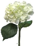 Hortensia artificiel en branche, H 48 cm Crème - BEST