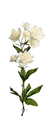 Astrance fleur factice H50cm 8 fleurs 2 ramures Rare et superbe Crème