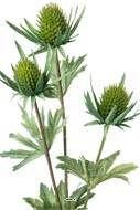 Chardon fleur factice H65cm 3 fleurs 3 ramures Rare et superbe Vert