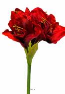 Amaryllis artificiel H 65 cm Superbe Rouge