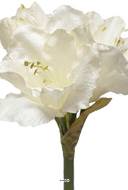 Amaryllis artificiel H 65 cm Superbe Crème