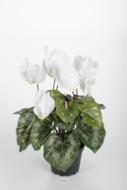 Cyclamen artificiel en pot 7 têtes H 33 cm Blanc neige