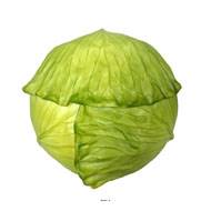 Faux Chou blanc pour décors D 19 cm