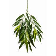 Branche de longifolia royal artificielle L 85 cm Vert 