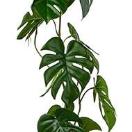 Guirlande de faux philodendron L 104 cm l 20 cm superbes feuilles